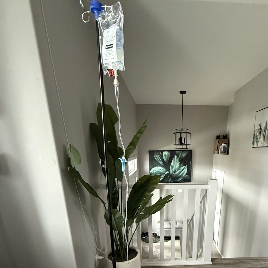 IV bag IV bag hanging above a tall plant.